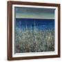 Shoreline Flowers II-Tim O'toole-Framed Giclee Print