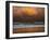 Shoreline Gold-Verne Varona-Framed Art Print