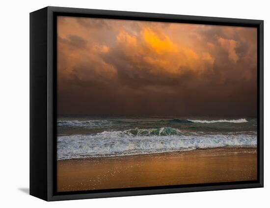 Shoreline Gold-Verne Varona-Framed Stretched Canvas