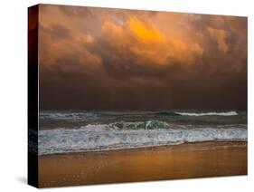 Shoreline Gold-Verne Varona-Stretched Canvas