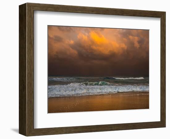 Shoreline Gold-Verne Varona-Framed Art Print