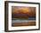 Shoreline Gold-Verne Varona-Framed Art Print