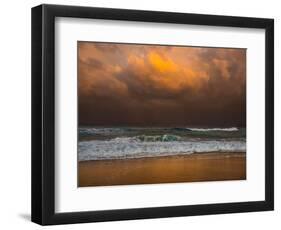 Shoreline Gold-Verne Varona-Framed Art Print