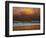 Shoreline Gold-Verne Varona-Framed Art Print