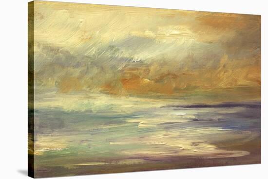 Shoreline I-Sheila Finch-Stretched Canvas