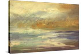 Shoreline I-Sheila Finch-Stretched Canvas