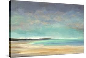 Shoreline IV-Sheila Finch-Stretched Canvas