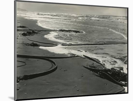 Shoreline, Kelp, San Francisco, 1938-Brett Weston-Mounted Photographic Print