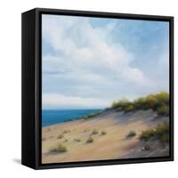 Shoreline Marshes I-Vivien Rhyan-Framed Stretched Canvas