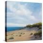 Shoreline Marshes I-Vivien Rhyan-Stretched Canvas