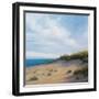 Shoreline Marshes I-Vivien Rhyan-Framed Art Print