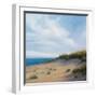 Shoreline Marshes I-Vivien Rhyan-Framed Art Print