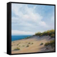 Shoreline Marshes I-Vivien Rhyan-Framed Stretched Canvas