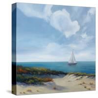 Shoreline Marshes II-Vivien Rhyan-Stretched Canvas