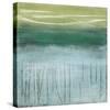 Shoreline Memories I-Heather Mcalpine-Stretched Canvas