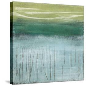 Shoreline Memories I-Heather Mcalpine-Stretched Canvas