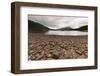 Shoreline Near Drake Passage, Tierra Del Fuego, Patagonia, Argentina-James White-Framed Photographic Print