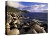 Shoreline of Boulders, Lake Tahoe, California, USA-Adam Jones-Stretched Canvas