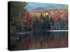 Shoreline of Heart Lake, Adirondack Park and Preserve, New York, USA-Charles Gurche-Stretched Canvas