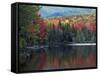 Shoreline of Heart Lake, Adirondack Park and Preserve, New York, USA-Charles Gurche-Framed Stretched Canvas