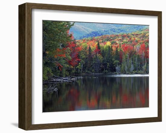 Shoreline of Heart Lake, Adirondack Park and Preserve, New York, USA-Charles Gurche-Framed Premium Photographic Print