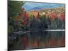 Shoreline of Heart Lake, Adirondack Park and Preserve, New York, USA-Charles Gurche-Mounted Premium Photographic Print