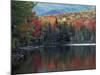 Shoreline of Heart Lake, Adirondack Park and Preserve, New York, USA-Charles Gurche-Mounted Photographic Print