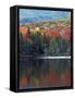 Shoreline of Heart Lake, Adirondack Park and Preserve, New York, USA-Charles Gurche-Framed Stretched Canvas