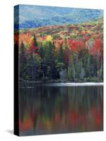 Shoreline of Heart Lake, Adirondack Park and Preserve, New York, USA-Charles Gurche-Stretched Canvas