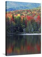 Shoreline of Heart Lake, Adirondack Park and Preserve, New York, USA-Charles Gurche-Stretched Canvas
