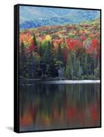 Shoreline of Heart Lake, Adirondack Park and Preserve, New York, USA-Charles Gurche-Framed Stretched Canvas