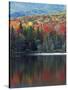 Shoreline of Heart Lake, Adirondack Park and Preserve, New York, USA-Charles Gurche-Stretched Canvas