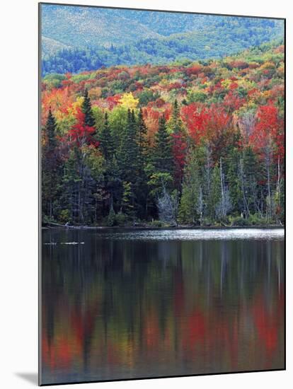 Shoreline of Heart Lake, Adirondack Park and Preserve, New York, USA-Charles Gurche-Mounted Premium Photographic Print