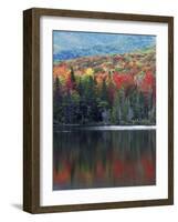 Shoreline of Heart Lake, Adirondack Park and Preserve, New York, USA-Charles Gurche-Framed Photographic Print