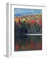 Shoreline of Heart Lake, Adirondack Park and Preserve, New York, USA-Charles Gurche-Framed Photographic Print