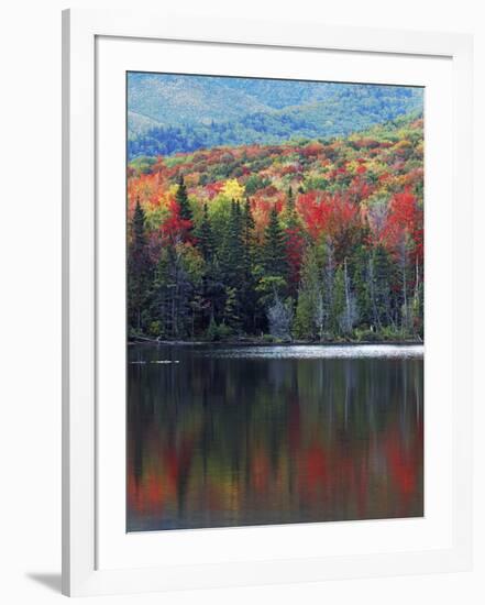 Shoreline of Heart Lake, Adirondack Park and Preserve, New York, USA-Charles Gurche-Framed Photographic Print