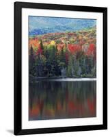 Shoreline of Heart Lake, Adirondack Park and Preserve, New York, USA-Charles Gurche-Framed Photographic Print