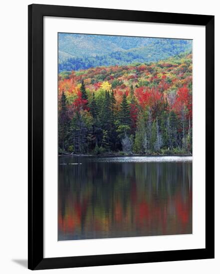 Shoreline of Heart Lake, Adirondack Park and Preserve, New York, USA-Charles Gurche-Framed Photographic Print