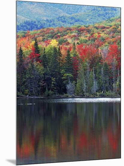 Shoreline of Heart Lake, Adirondack Park and Preserve, New York, USA-Charles Gurche-Mounted Photographic Print