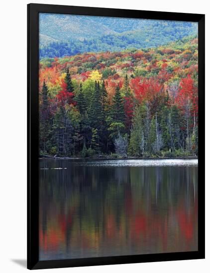 Shoreline of Heart Lake, Adirondack Park and Preserve, New York, USA-Charles Gurche-Framed Photographic Print