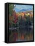 Shoreline of Heart Lake, Adirondack Park and Preserve, New York, USA-Charles Gurche-Framed Stretched Canvas