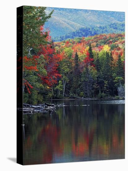 Shoreline of Heart Lake, Adirondack Park and Preserve, New York, USA-Charles Gurche-Stretched Canvas