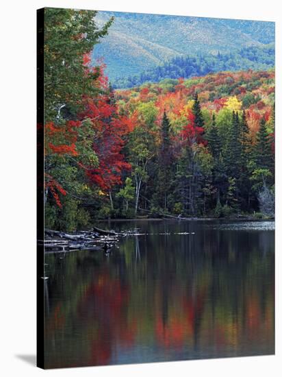 Shoreline of Heart Lake, Adirondack Park and Preserve, New York, USA-Charles Gurche-Stretched Canvas