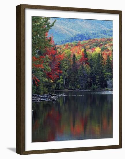 Shoreline of Heart Lake, Adirondack Park and Preserve, New York, USA-Charles Gurche-Framed Premium Photographic Print