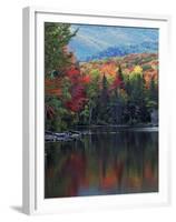 Shoreline of Heart Lake, Adirondack Park and Preserve, New York, USA-Charles Gurche-Framed Premium Photographic Print