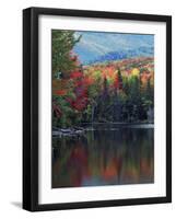 Shoreline of Heart Lake, Adirondack Park and Preserve, New York, USA-Charles Gurche-Framed Photographic Print