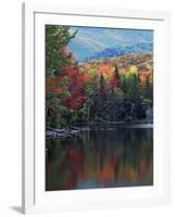 Shoreline of Heart Lake, Adirondack Park and Preserve, New York, USA-Charles Gurche-Framed Photographic Print