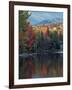 Shoreline of Heart Lake, Adirondack Park and Preserve, New York, USA-Charles Gurche-Framed Photographic Print