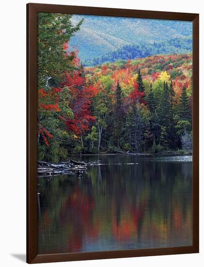 Shoreline of Heart Lake, Adirondack Park and Preserve, New York, USA-Charles Gurche-Framed Photographic Print