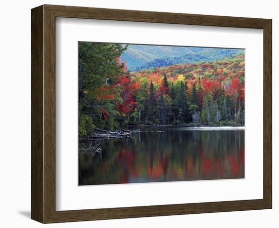 Shoreline of Heart Lake, Adirondack Park and Preserve, New York, USA-Charles Gurche-Framed Photographic Print